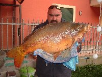     Carpa regina con mais alla mandorla  