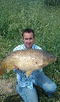     Carpa regina di 8,5 kg  