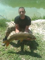 barbo  1,5 kg c.a