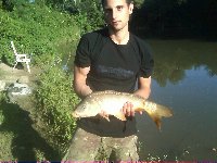 carpa regina 8,7 kg