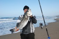 Spigola di oltre 5kg a San Vincenzo