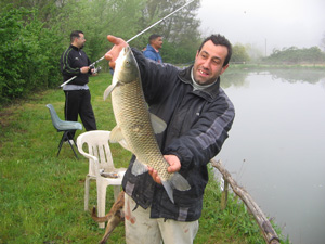 Ingrandisci Amur da 4kg