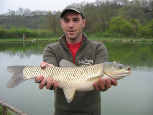 Ingrandisci Amur da 3,5 kg