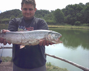 Ingrandisci trota 4 kg