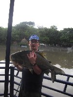 CACHAMA PACU  in Colombia