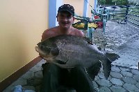 CACHAMA PACU  in Colombia