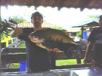 CACHAMA PACU  in Colombia