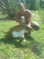 carpa regina 9,3 kg