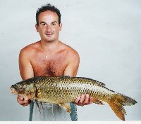 CACHAMA PACU  in Colombia