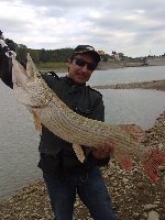 italian pike, con cucchiaino Martin