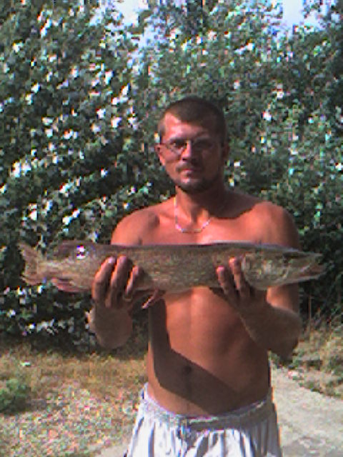 Ingrandisci Il Parco delle trote luccio da 2,7 kg