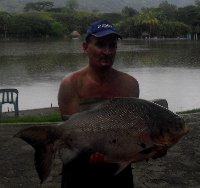 Siluro di 38kg sull'Arno a Firenze