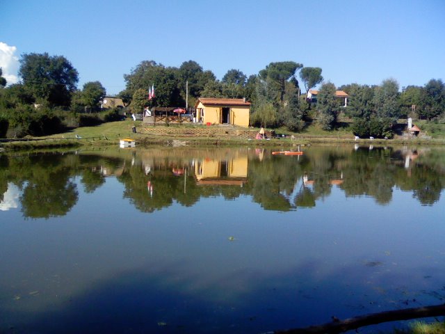 Ingrandisci 