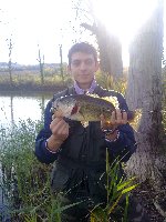 Big Bass 2 KG