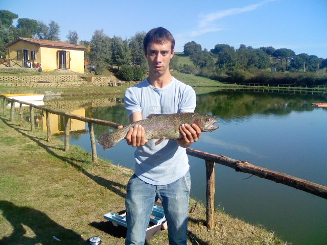 Ingrandisci trota 2,4kg