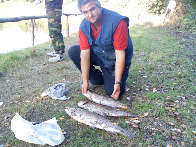 Ingrandisci x tutti i gusti 2,3,4kg