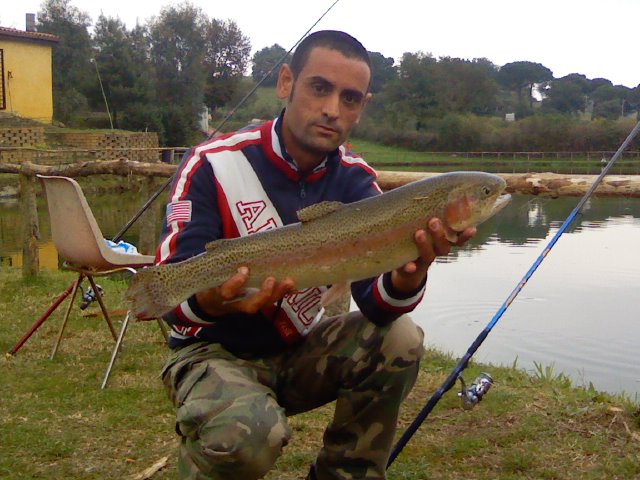 Ingrandisci trota da 2,4 kg