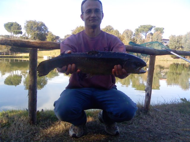 Ingrandisci trota da 4,3 kg