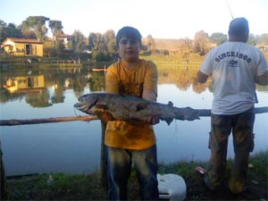 Ingrandisci splendida trota da 5 kg