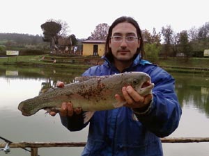 Ingrandisci 