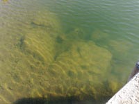 Ingrandisci CHE ACQUA!!!