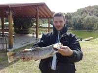Ingrandisci 