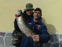 Ingrandisci STE & STE CHE COPPIA...............