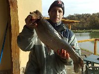 Ingrandisci 1�CLASS.TO DI DOMENICA 30 NOVEMBRE!!!!!!!!!