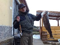 Ingrandisci A TUTTA MOSCA...........