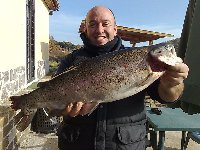 Ingrandisci A TUTTA MOSCA X ROBERTONE..........