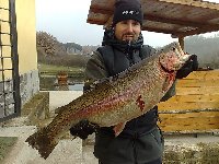 Ingrandisci 