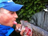 Ingrandisci BEBBO INNAMORATO...........