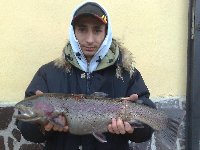 Ingrandisci 