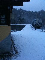 Ingrandisci 