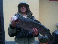 Ingrandisci mario a mosca