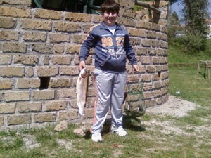 Ingrandisci 