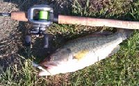 Black bass in notturna al lago Le Palme di Roma