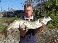     Luccio di 3kg al lago di Bracciano  