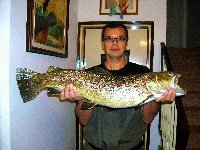Pesca torrente Sonna Feltre: big trout di quasi 3kg