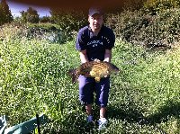 Carpa di oltre 5kg sul fiume Brenta