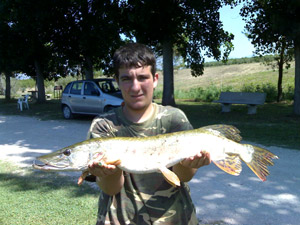     big pike  