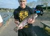 Trota Salmonata