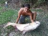 Laghi del Grillo - Temolo di 45kg