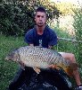 carpa regina 17 kg