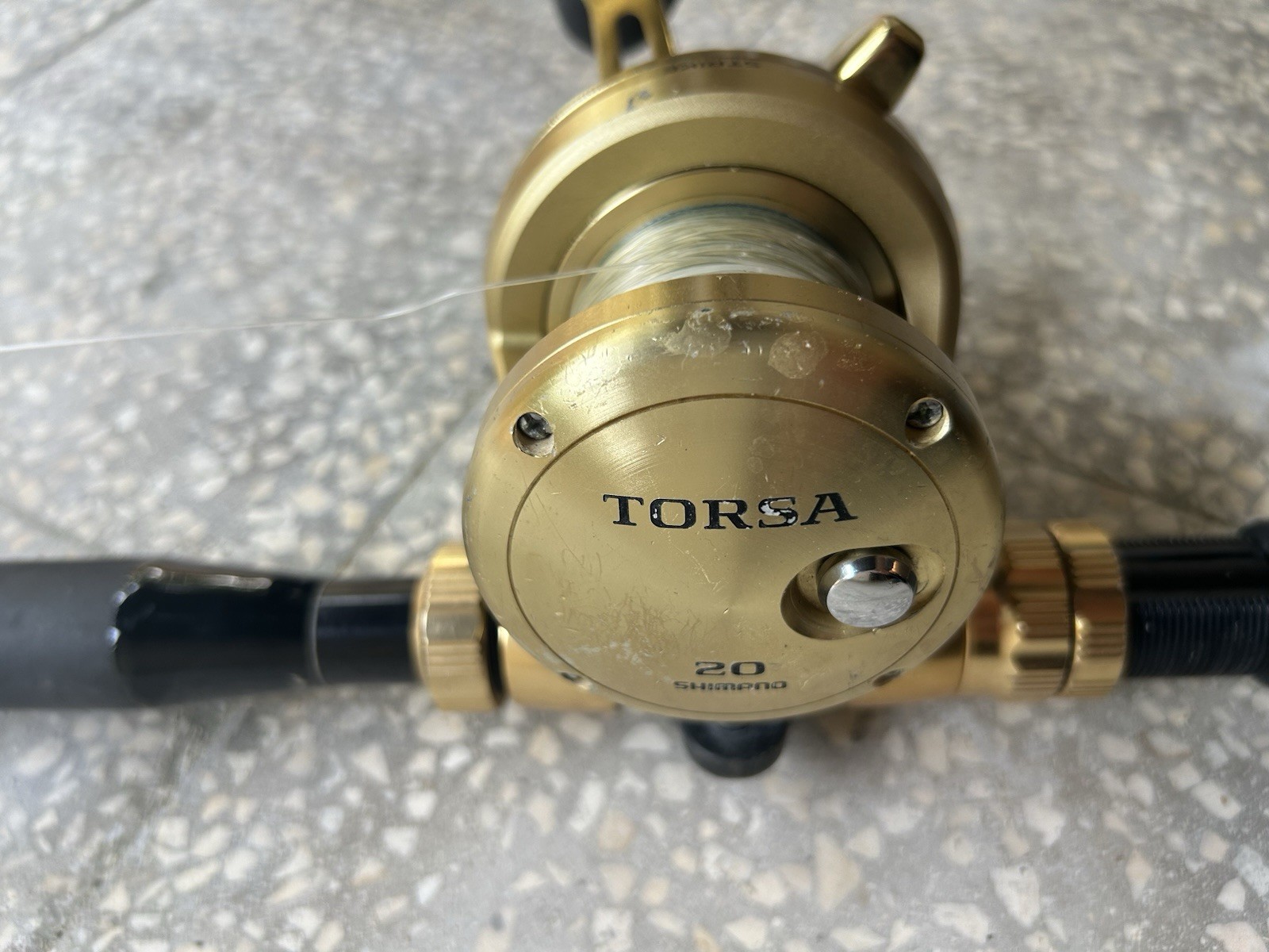 Shimano Torsa 20