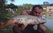 Ingrandisci 