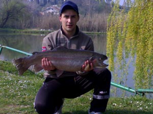 Ingrandisci 