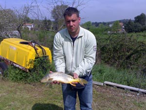 Ingrandisci 