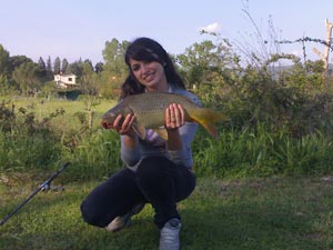 Ingrandisci 