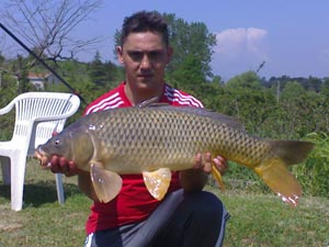 Ingrandisci 